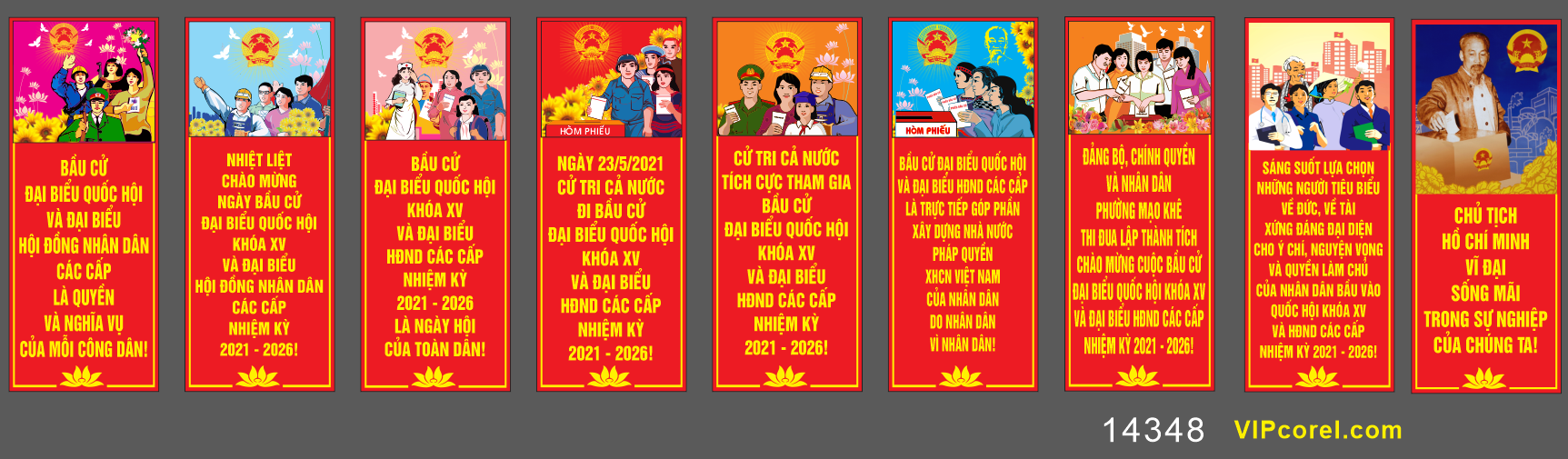 pano bau cu dai bieu quoc hoi #8.png