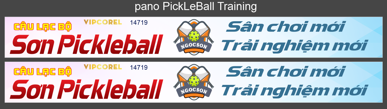 pano pickleball training.png
