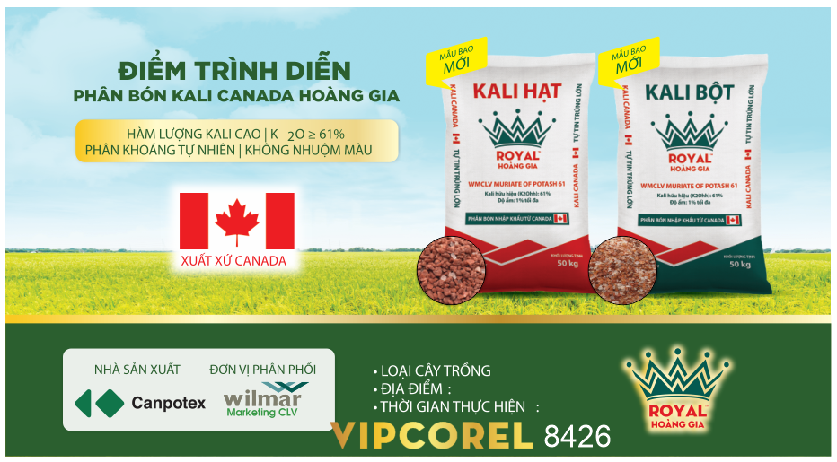 phan bon kali cannada hoang gia.png