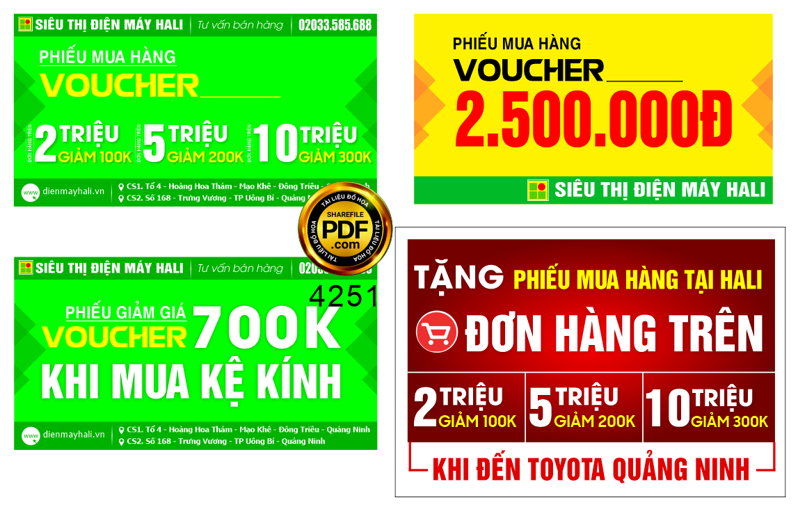 phieu mua hang voucher tai sieu thi dien may hali.png