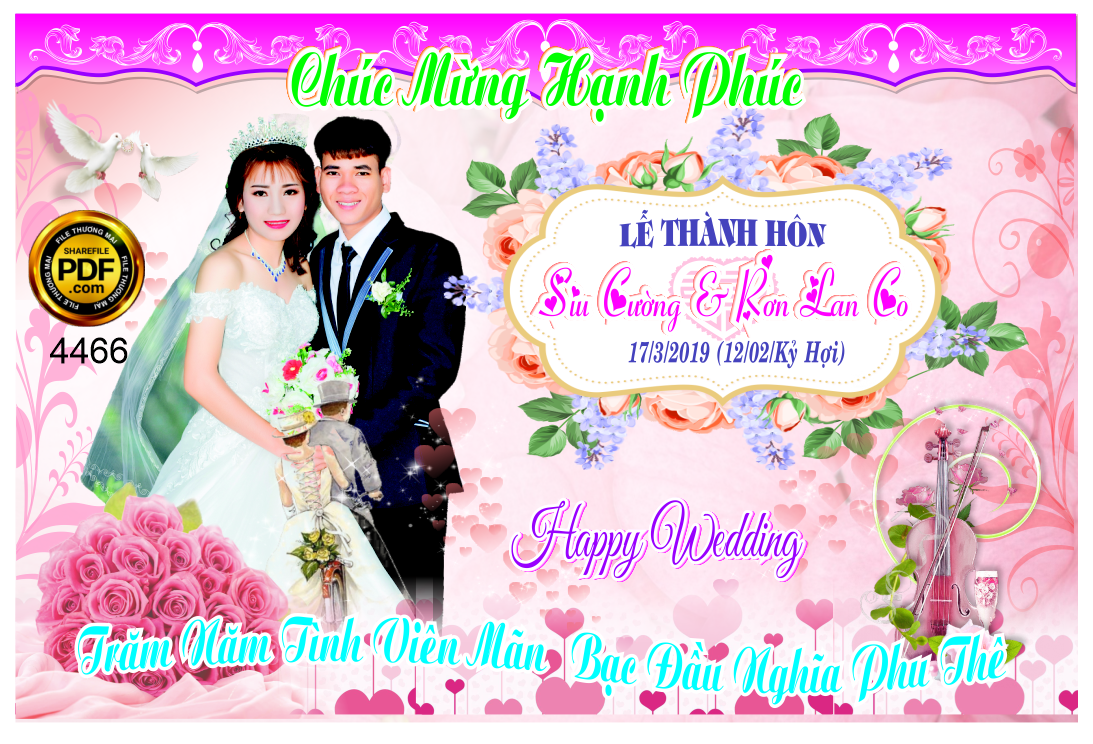 phong cuoi le thanh hon siu cuong va ron lan co.png