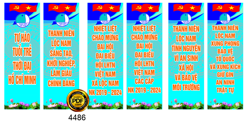 phuon tha tuyen truyen thanh nien tinh nguyen.png