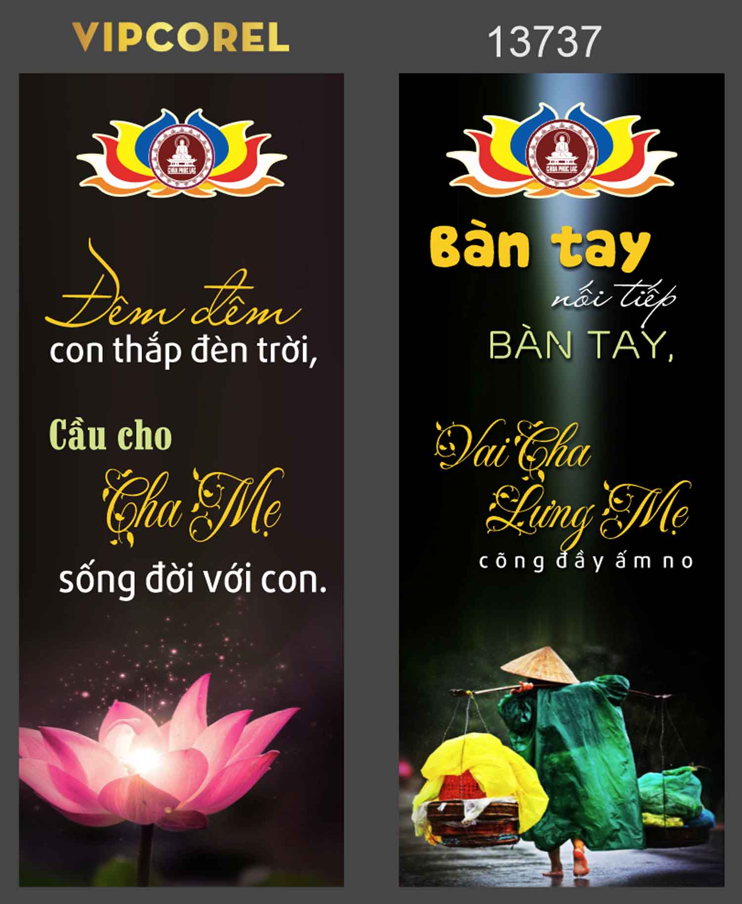 phuon tha vu lan 2024 8.jpg