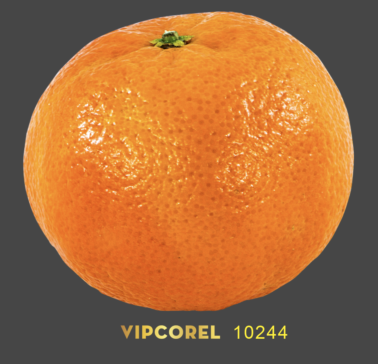qua cam png 03.png