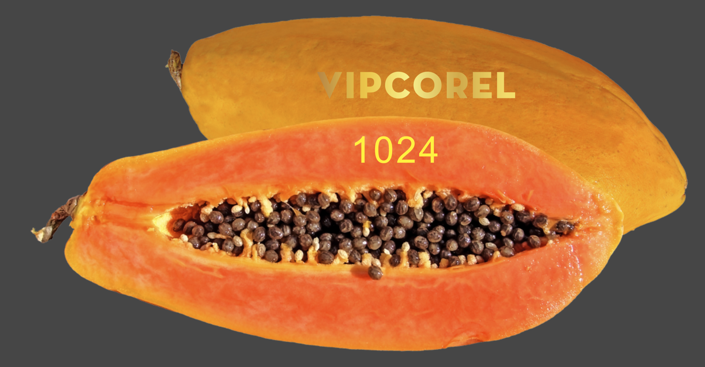 qua du du png-3.png
