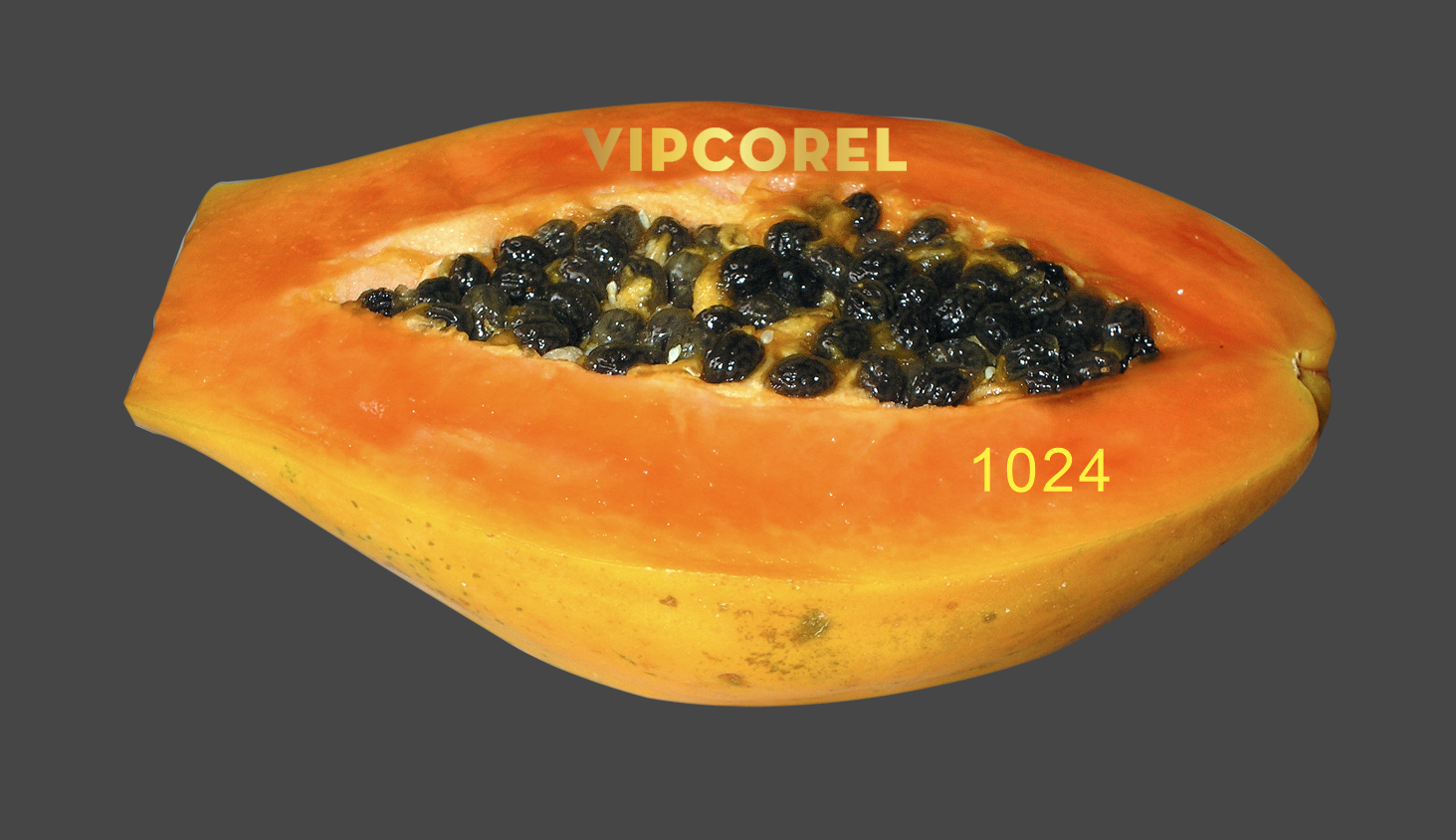 qua du du png-4.png