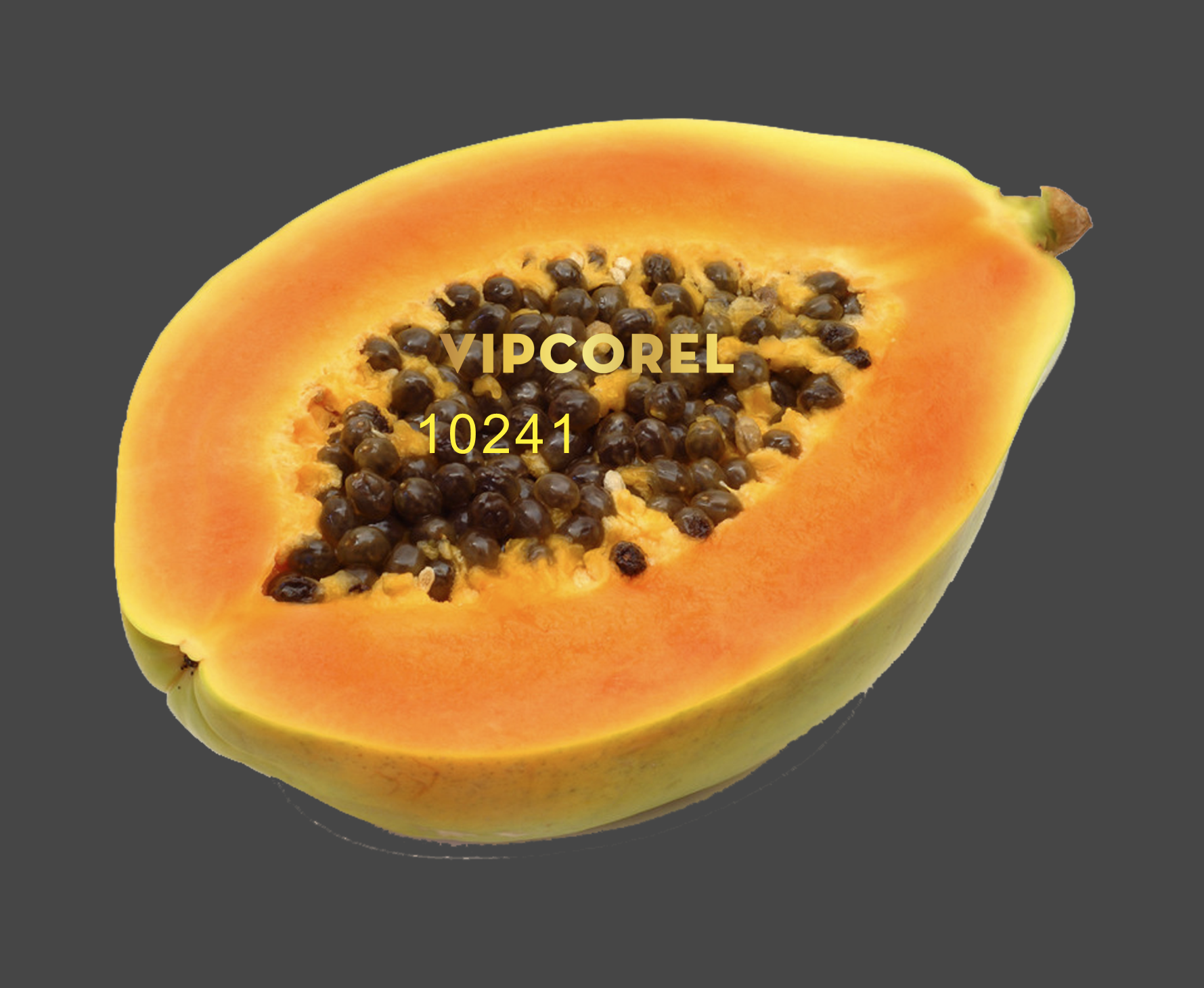 qua du du png-6.png