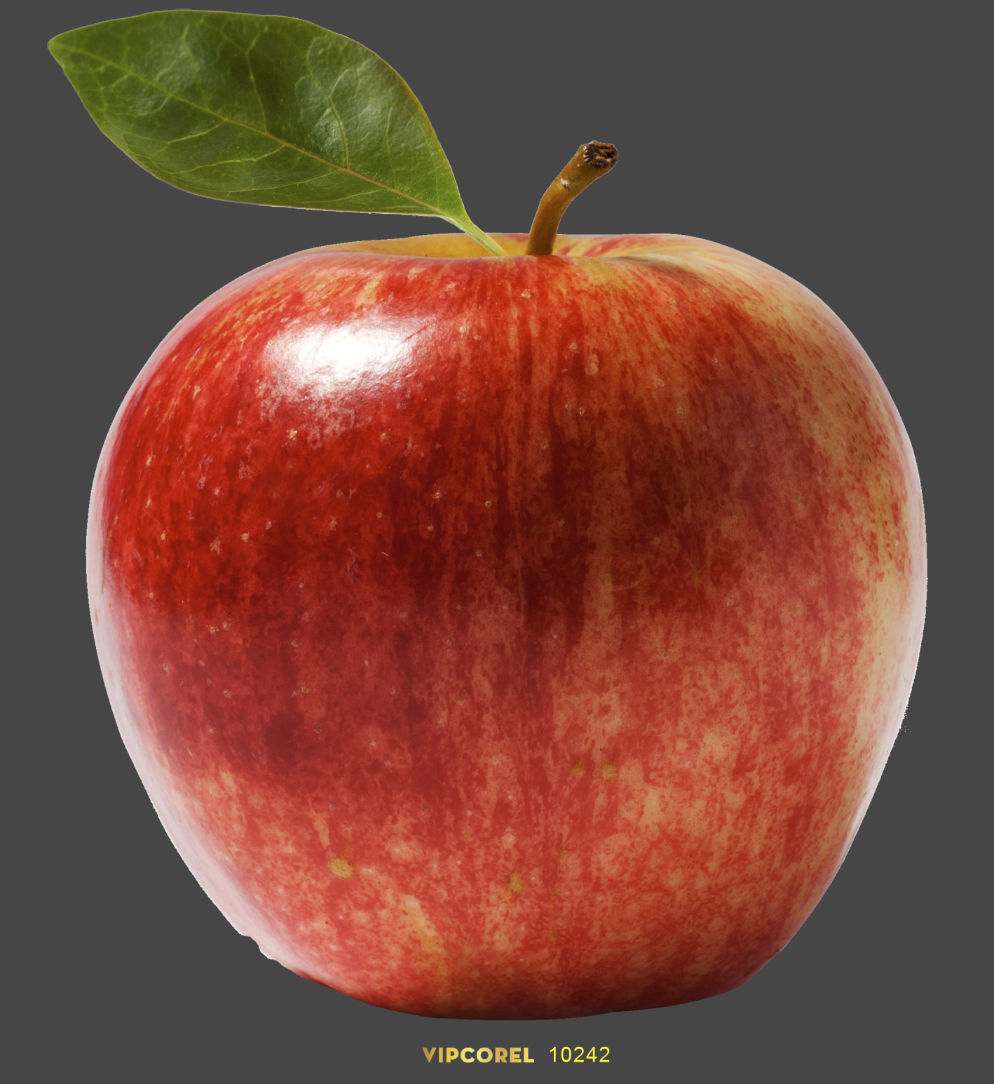qua tao 12.png
