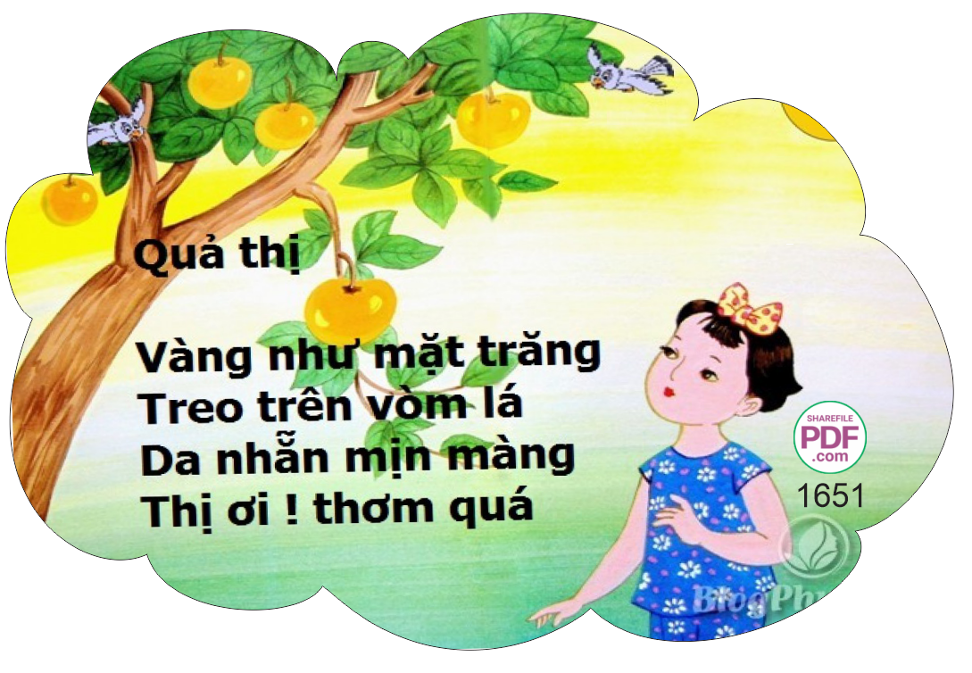 qua thi.png