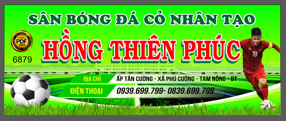 san bong da co nhan tao hong thien phuc.png