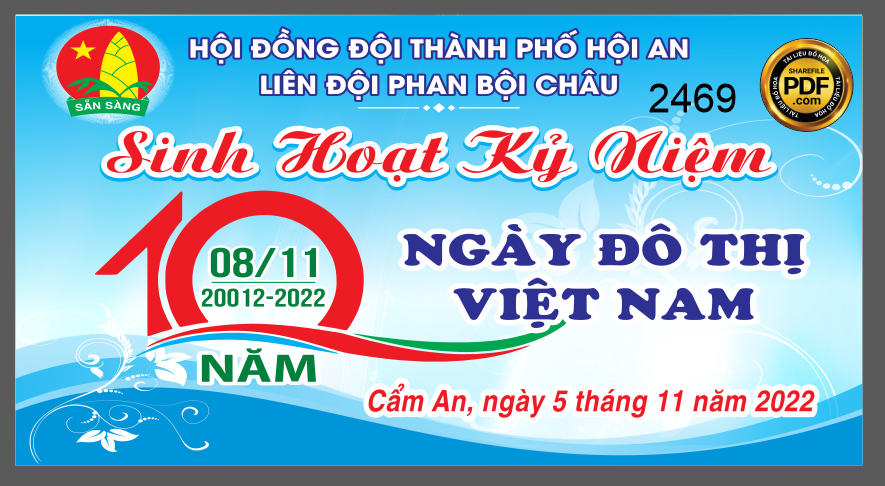 sinh hoat ky niem ngay do thi viet nam lien doi phan boi chau hoi an.png