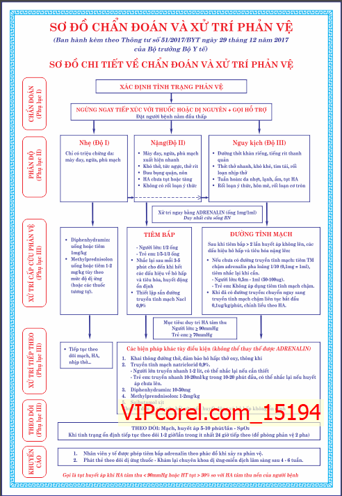 so do chuan doan va xu tri phan ve #2.png