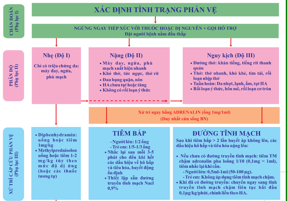 so do chuan doan va xu tri phan ve 23.png