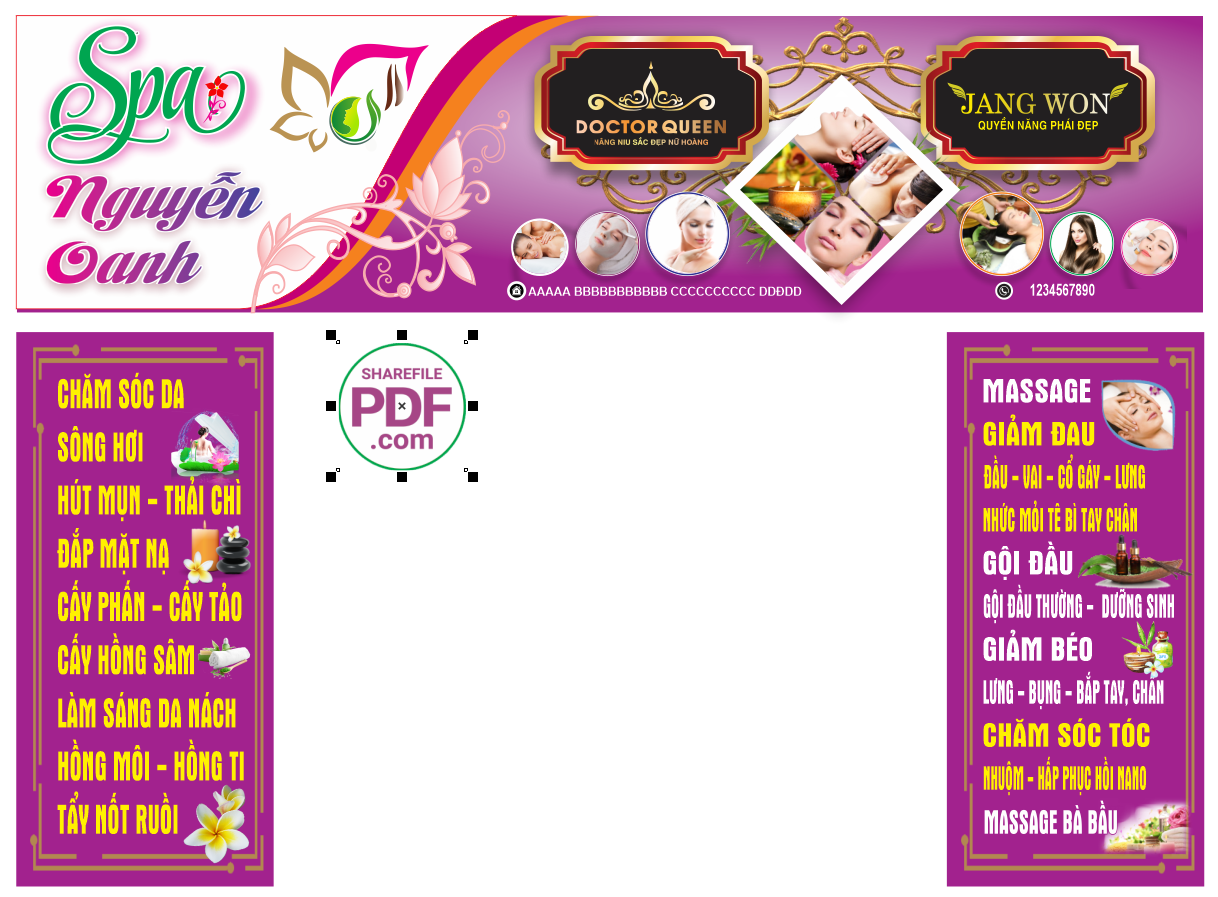 spa nguyen oanh - doctor queen.png