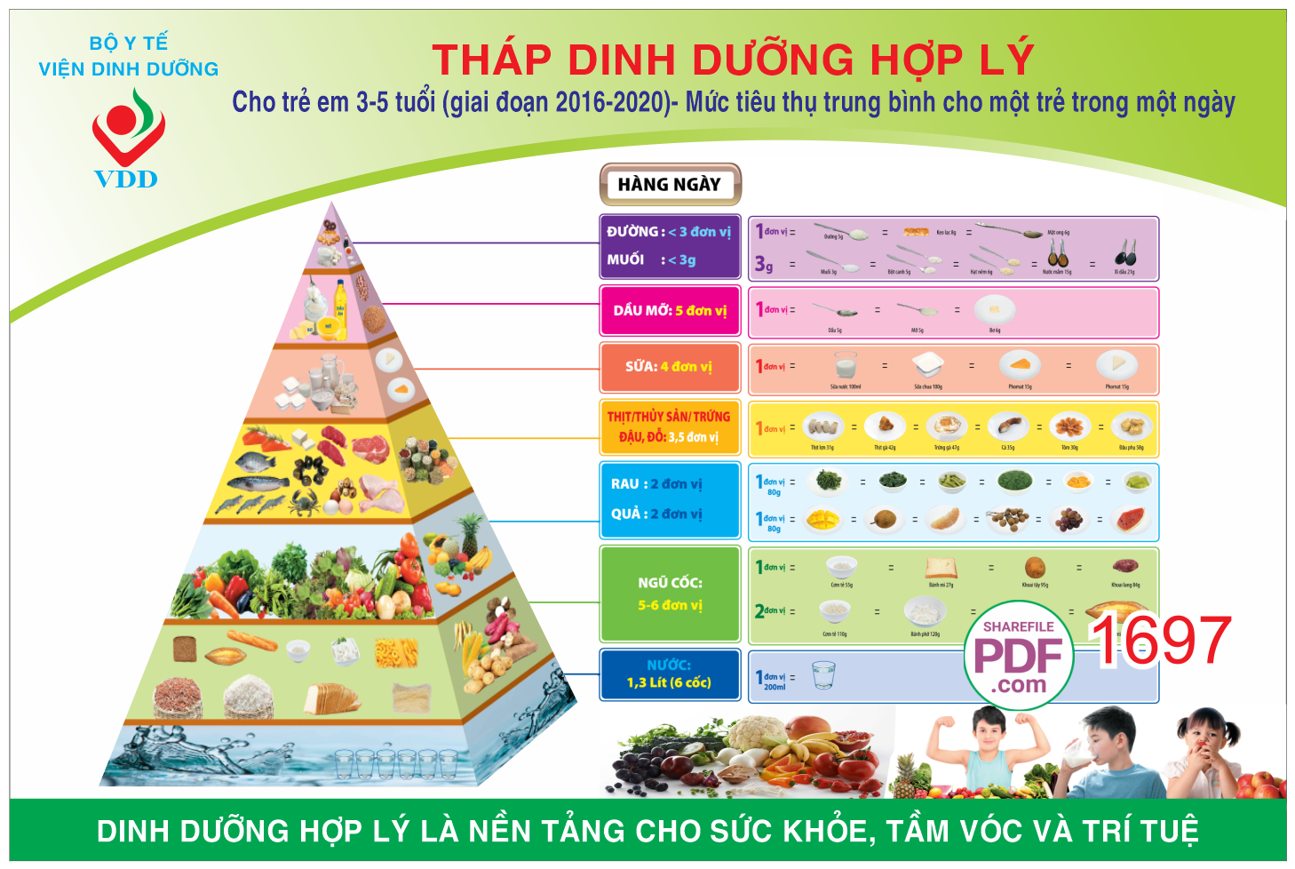 thap dinh duong can doi #3.png