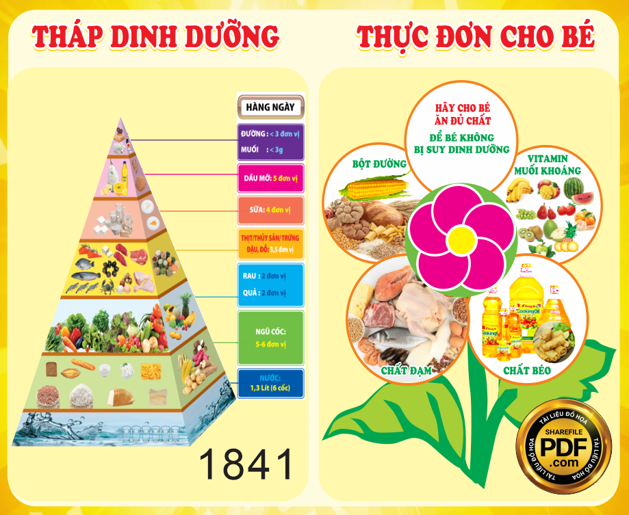 thap dinh duong va thuc don #4.png