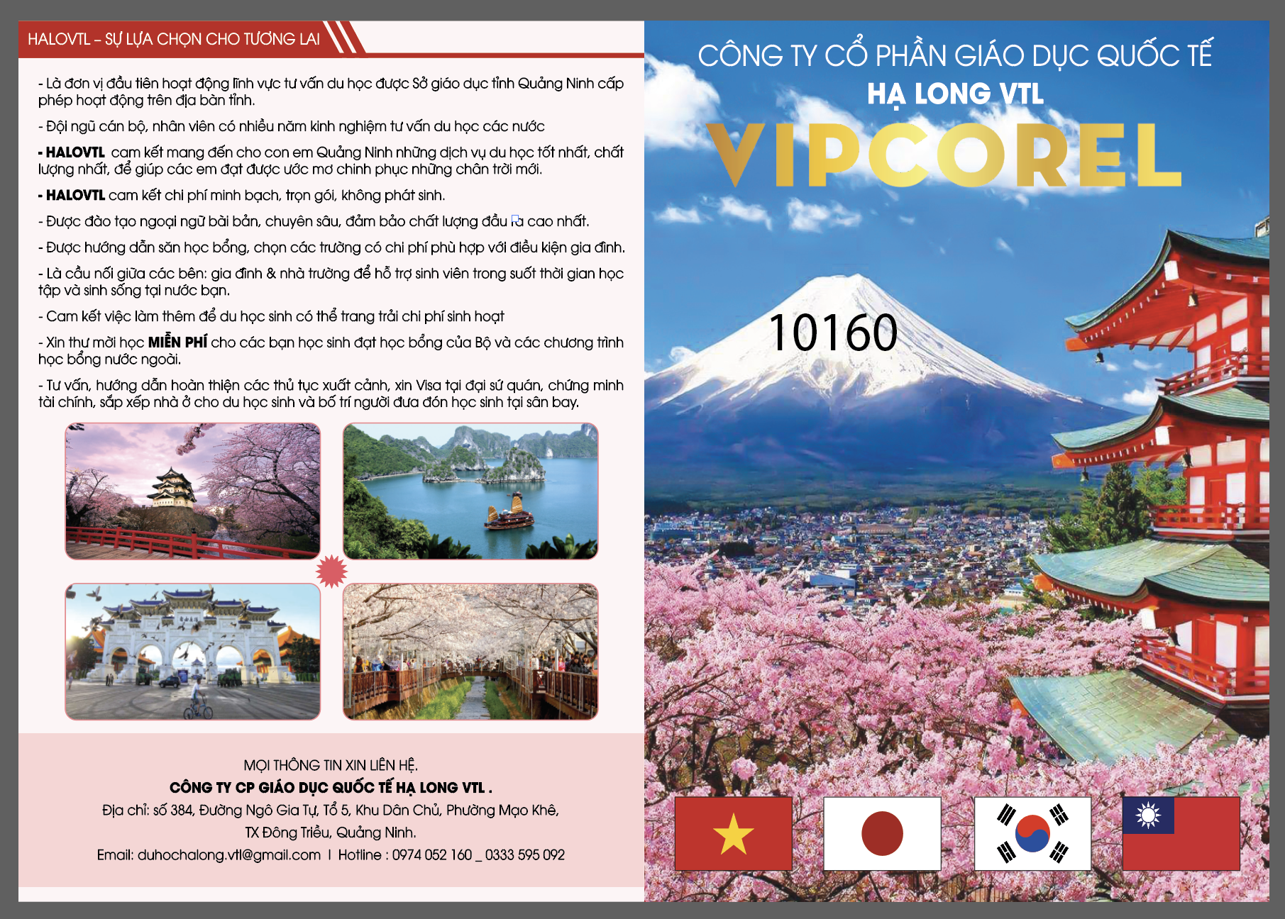 thiet ke to in kep file cong ty giao duc quoc te.png