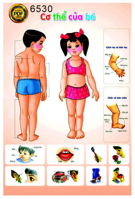 to roi giao duc hoc tap - thieu biet co the cua be.png