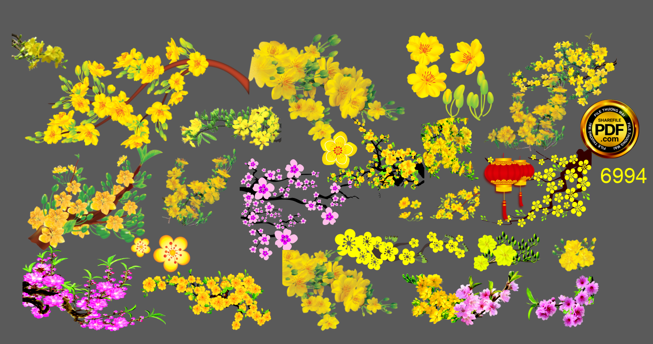 tong hop hoa mai - hoa dao trang tri dan cua.png