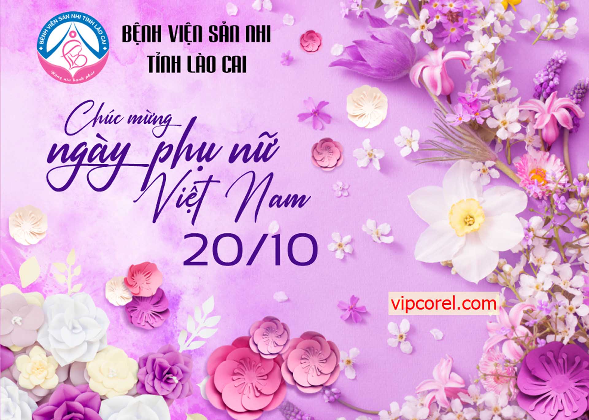 tong hop ngay phu nu viet nam 20-10 3.jpg