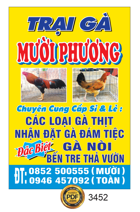 trai ga muoi phuong - cac loai ga thit.png