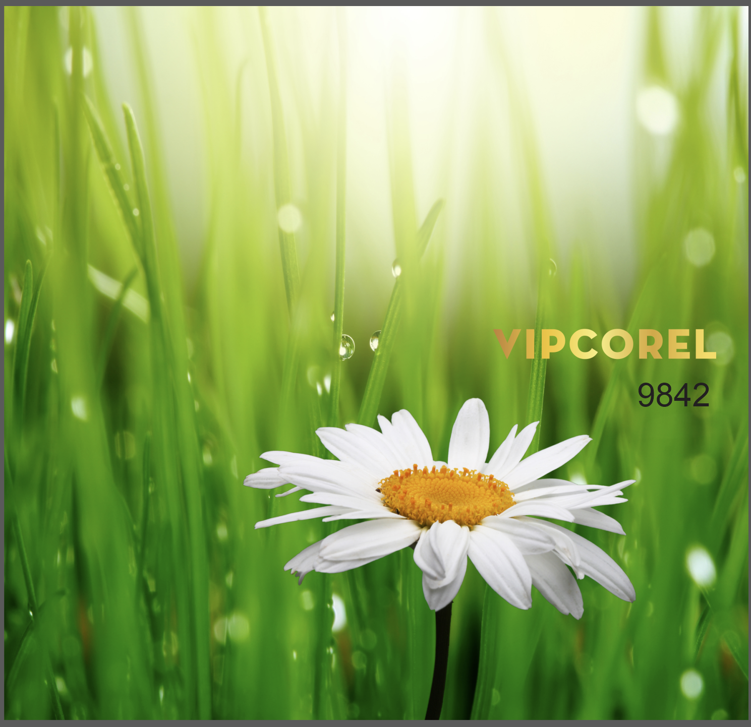 tranh deco phong khach 16.png