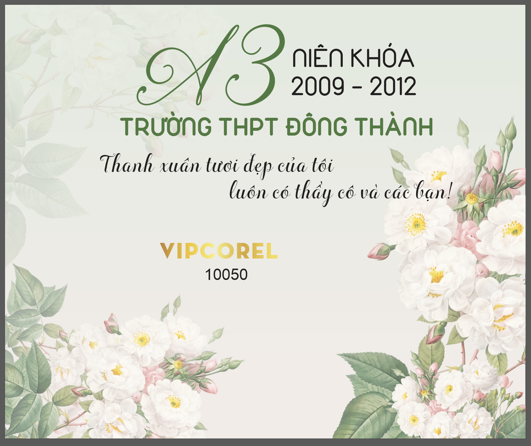 truong thpt dong thanh - hop lop thanh xuan tuoi dep cua toi.png