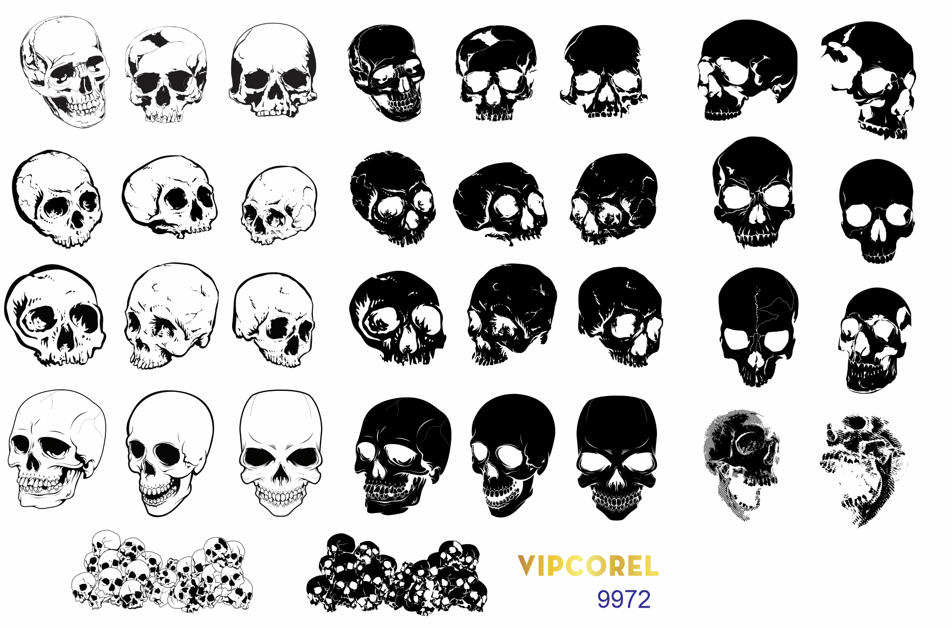 vector hinh dau lau.png