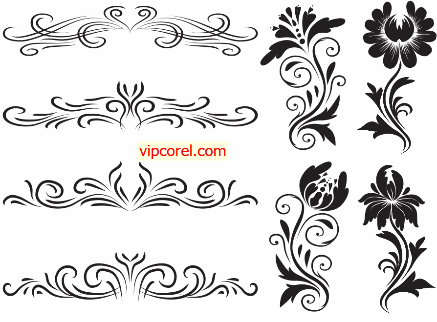 vector trang tri hoa van thiet ke.png