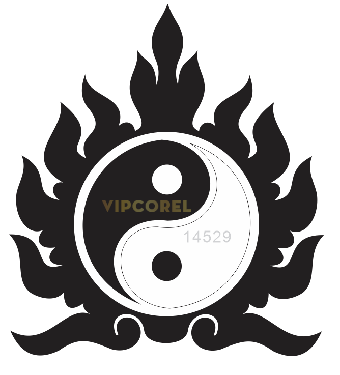 vector vong tron am duong.png