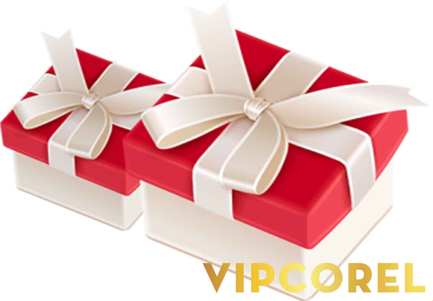 VIPcorel.com 1614 3.jpg