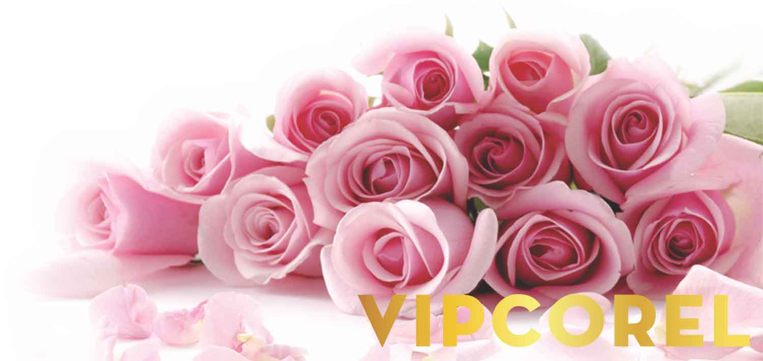 VIPcorel.com 1614 7.jpg