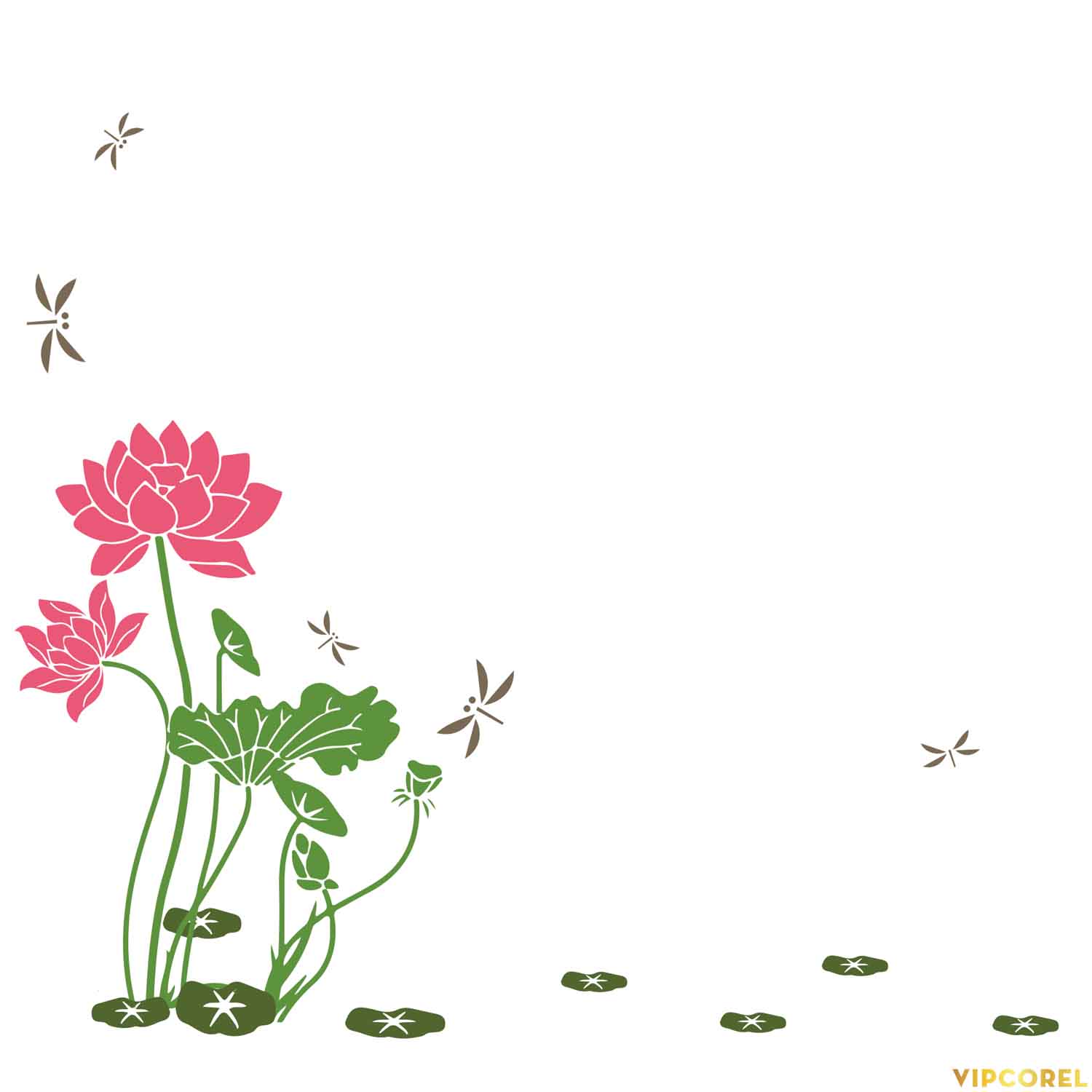 VIPcorel.com anh hoa sen tach nen file PNG (27).jpg