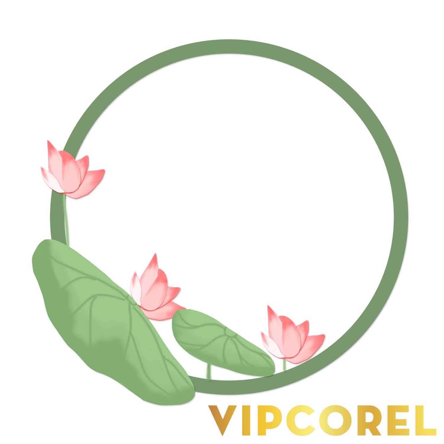 VIPcorel.com anh hoa sen tach nen file PNG (38).jpg
