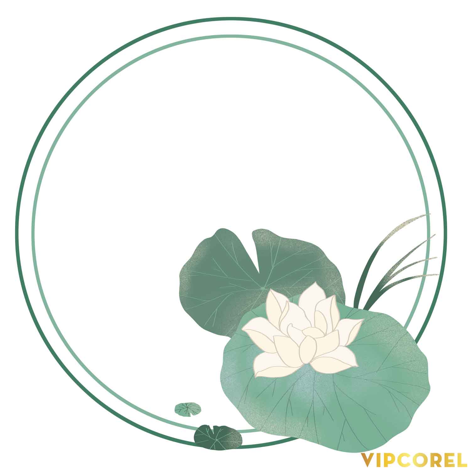 VIPcorel.com anh hoa sen tach nen file PNG (40).jpg