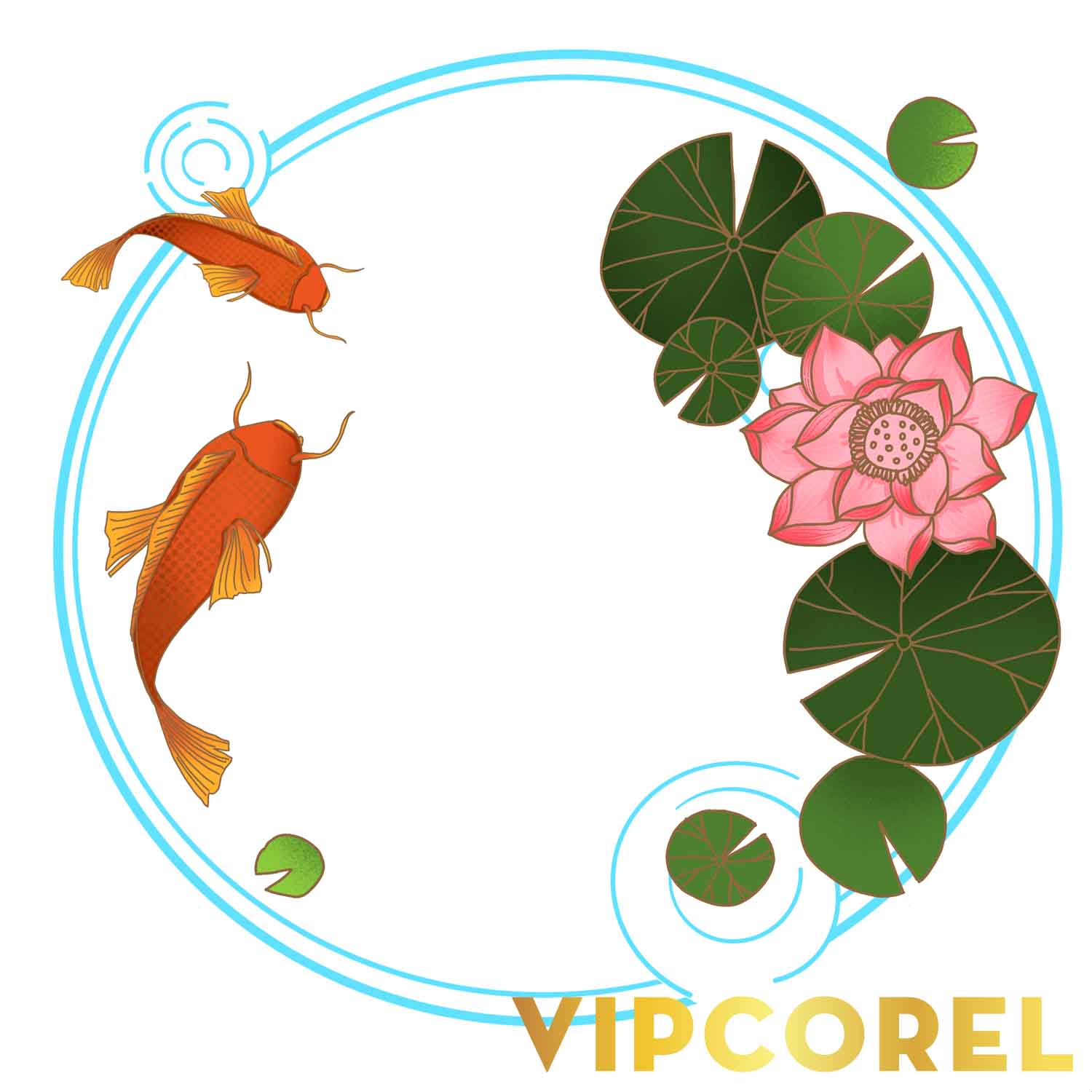 VIPcorel.com anh hoa sen tach nen file PNG (41).jpg