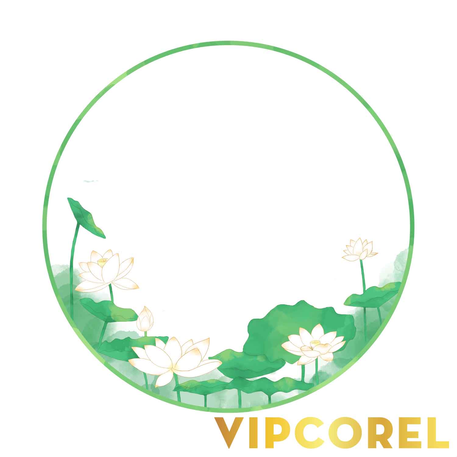VIPcorel.com anh hoa sen tach nen file PNG (43).jpg