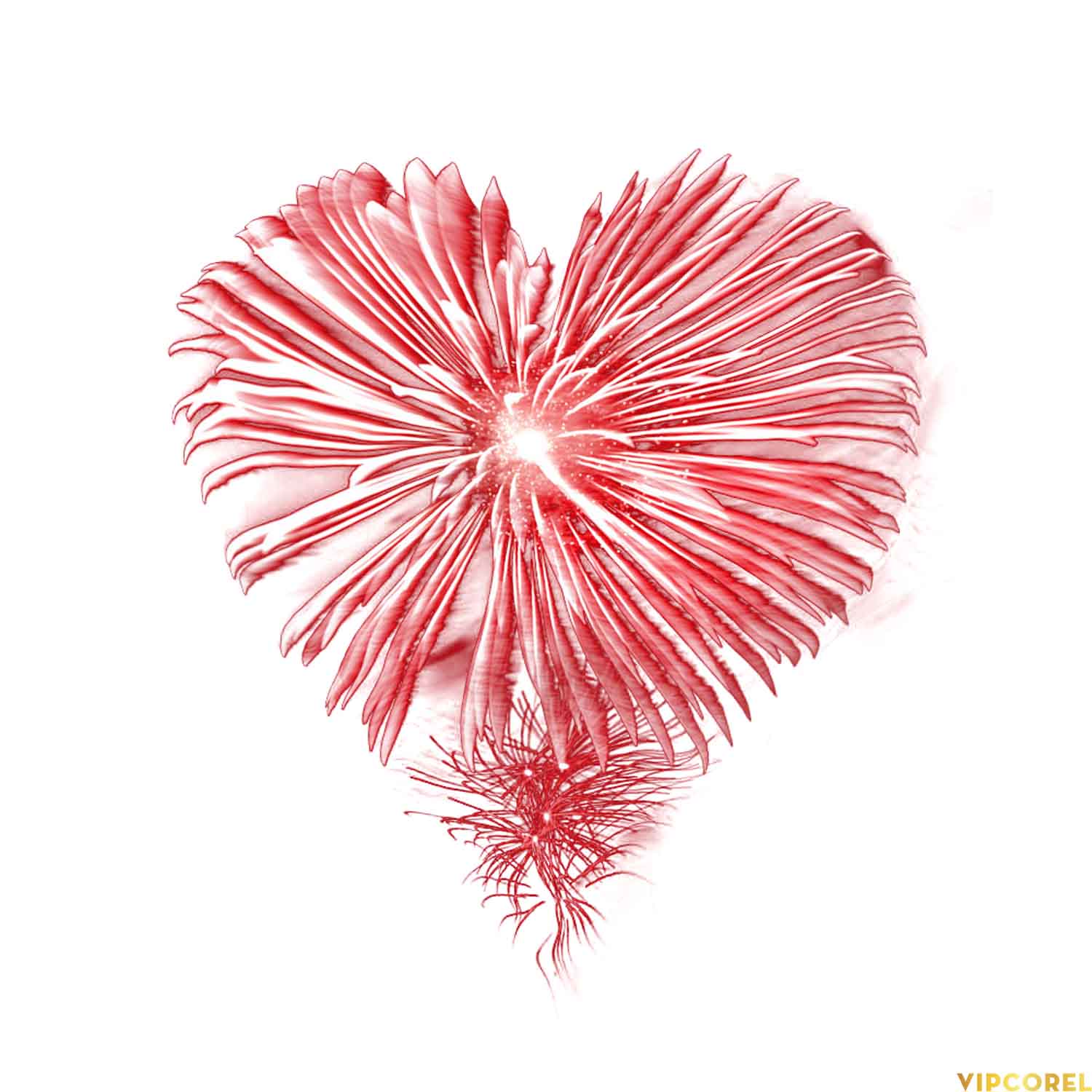 VIPcorel.com anh phao hoa tach nen file PNG (10).jpg