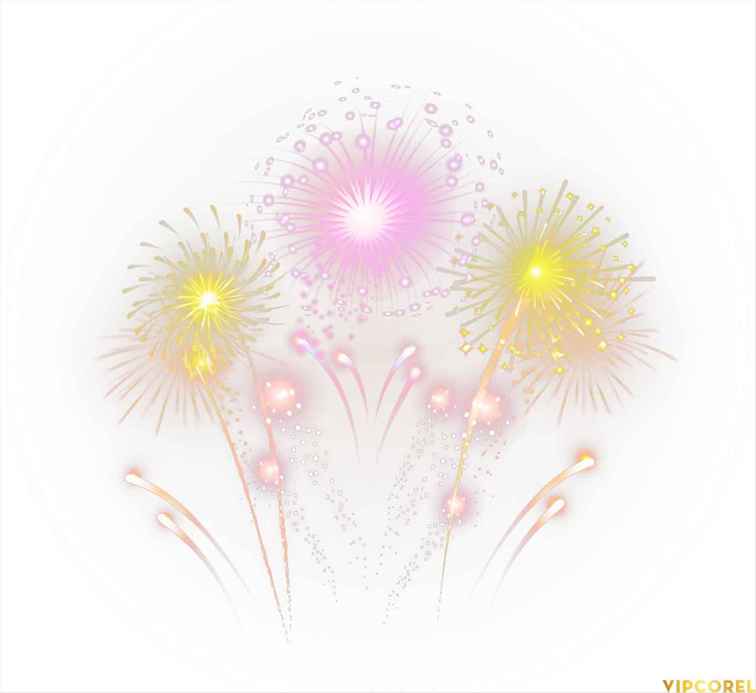 VIPcorel.com anh phao hoa tach nen file PNG (11).jpg