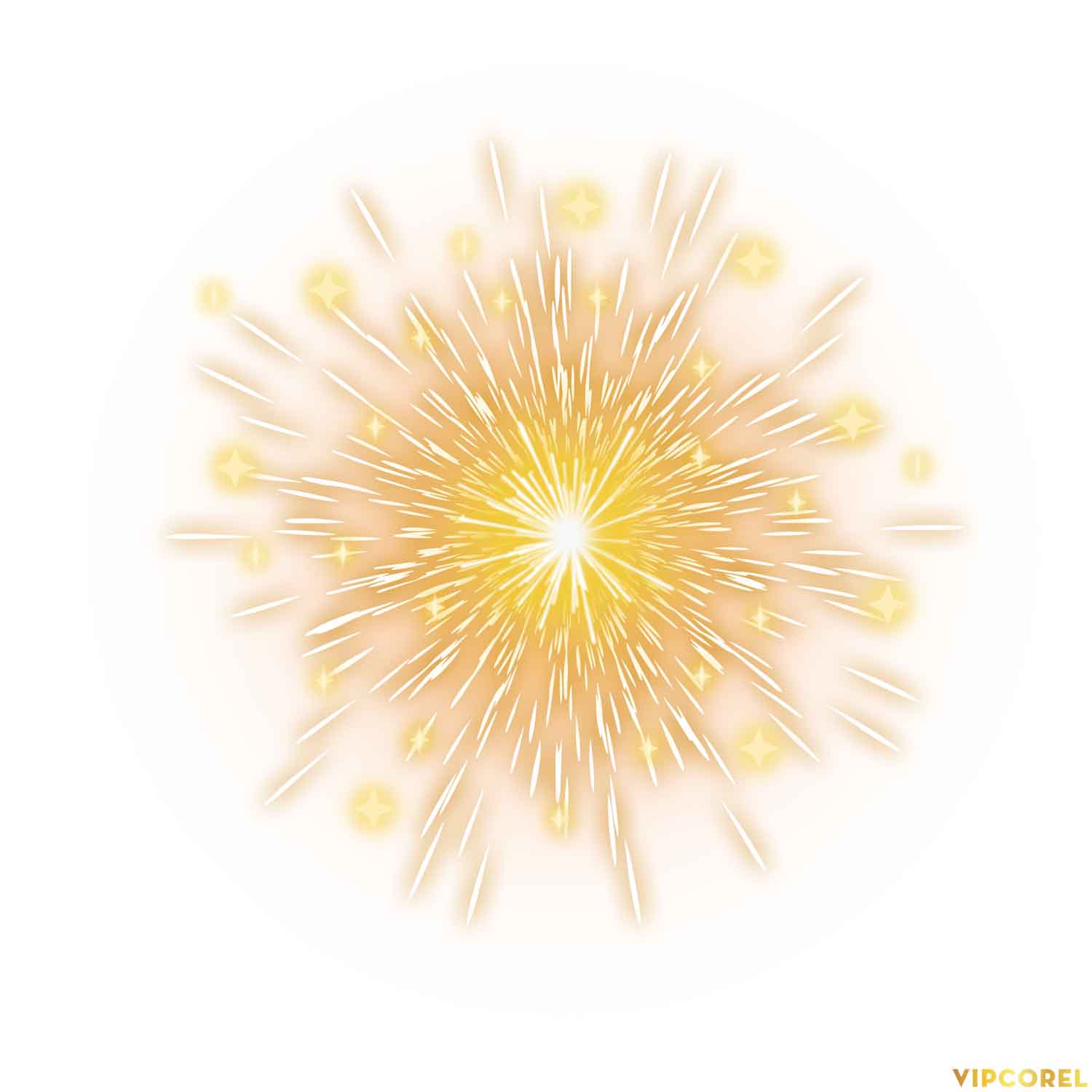 VIPcorel.com anh phao hoa tach nen file PNG (13).jpg
