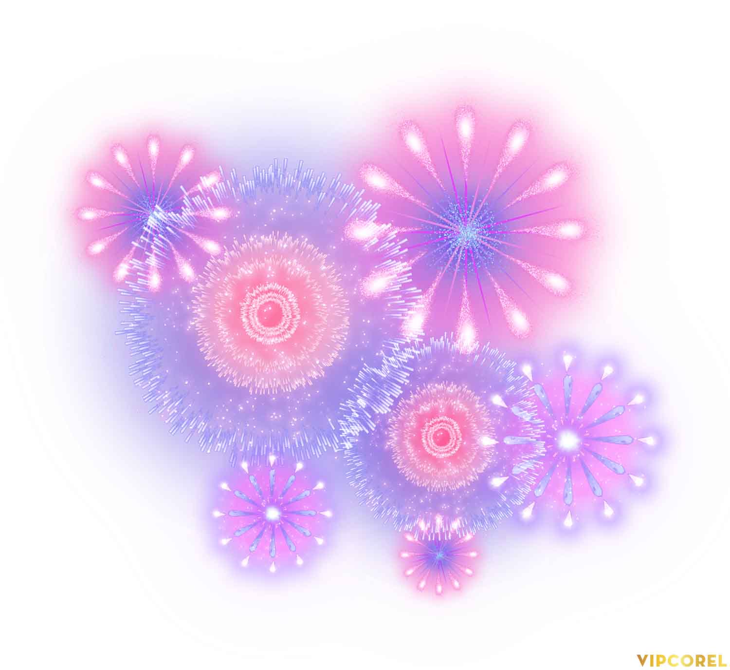VIPcorel.com anh phao hoa tach nen file PNG (14).jpg