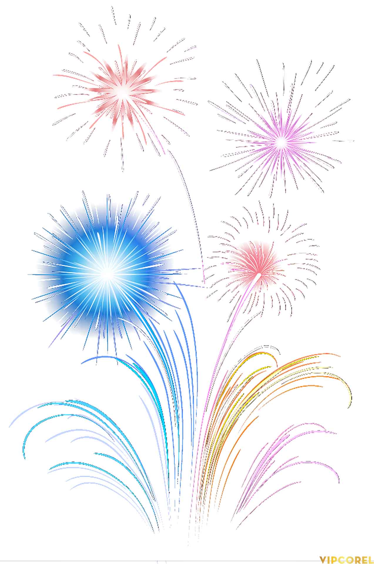 VIPcorel.com anh phao hoa tach nen file PNG (16).jpg