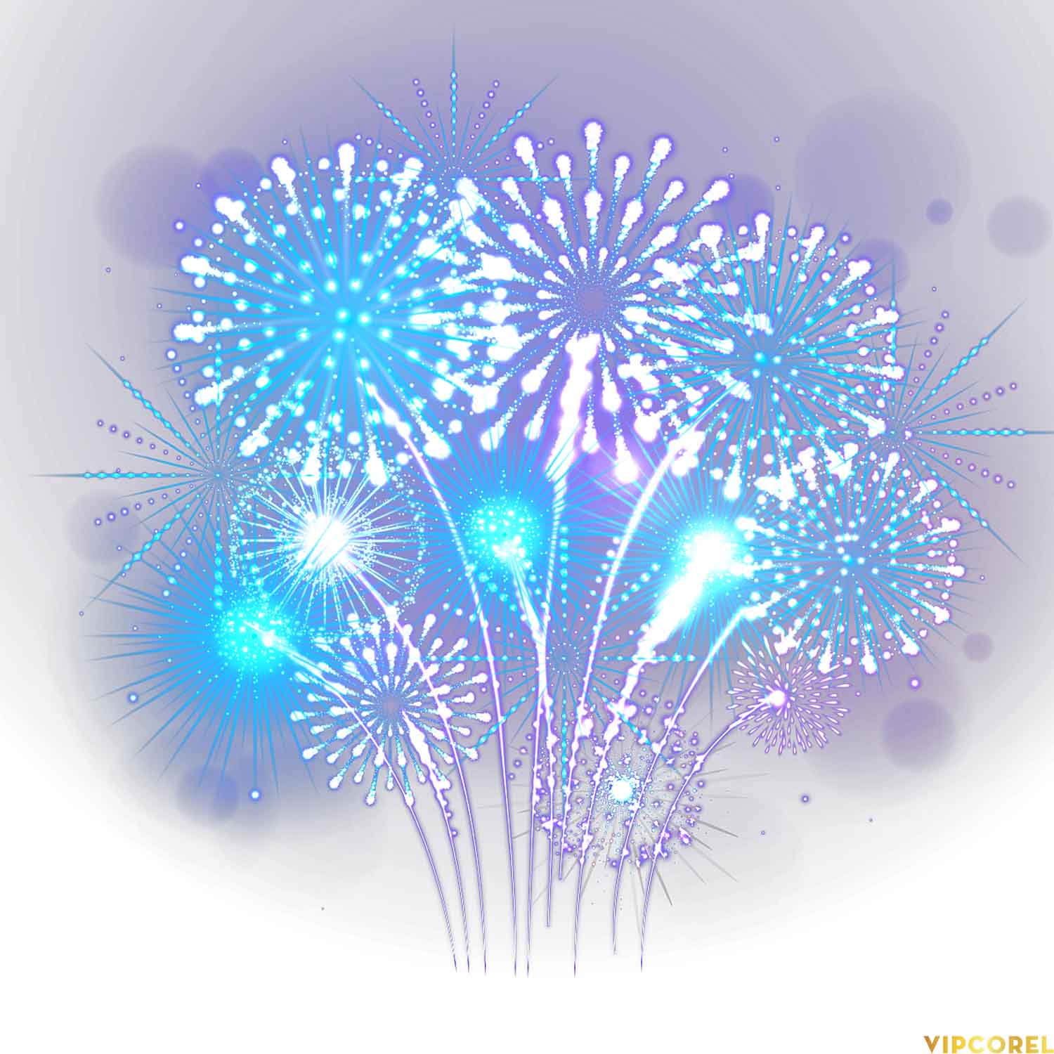 VIPcorel.com anh phao hoa tach nen file PNG (18).jpg