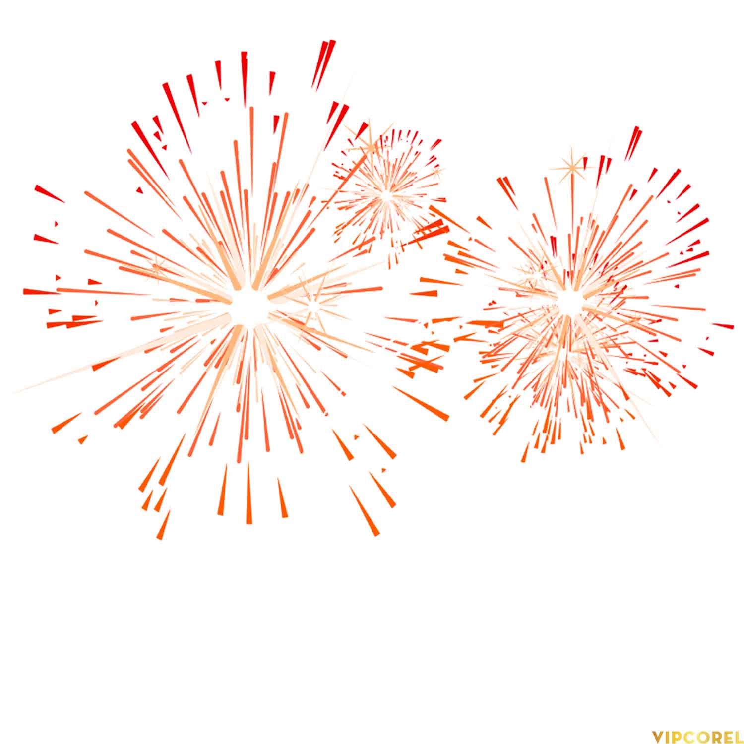 VIPcorel.com anh phao hoa tach nen file PNG (20).jpg