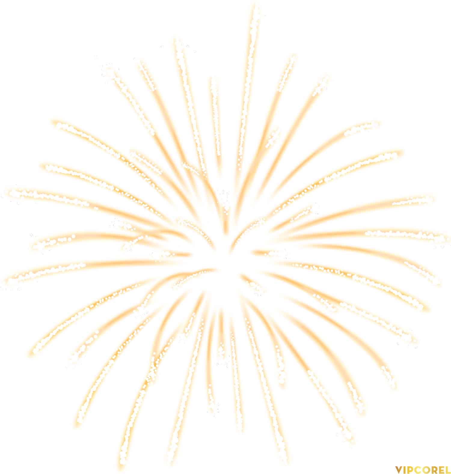 VIPcorel.com anh phao hoa tach nen file PNG (21).jpg