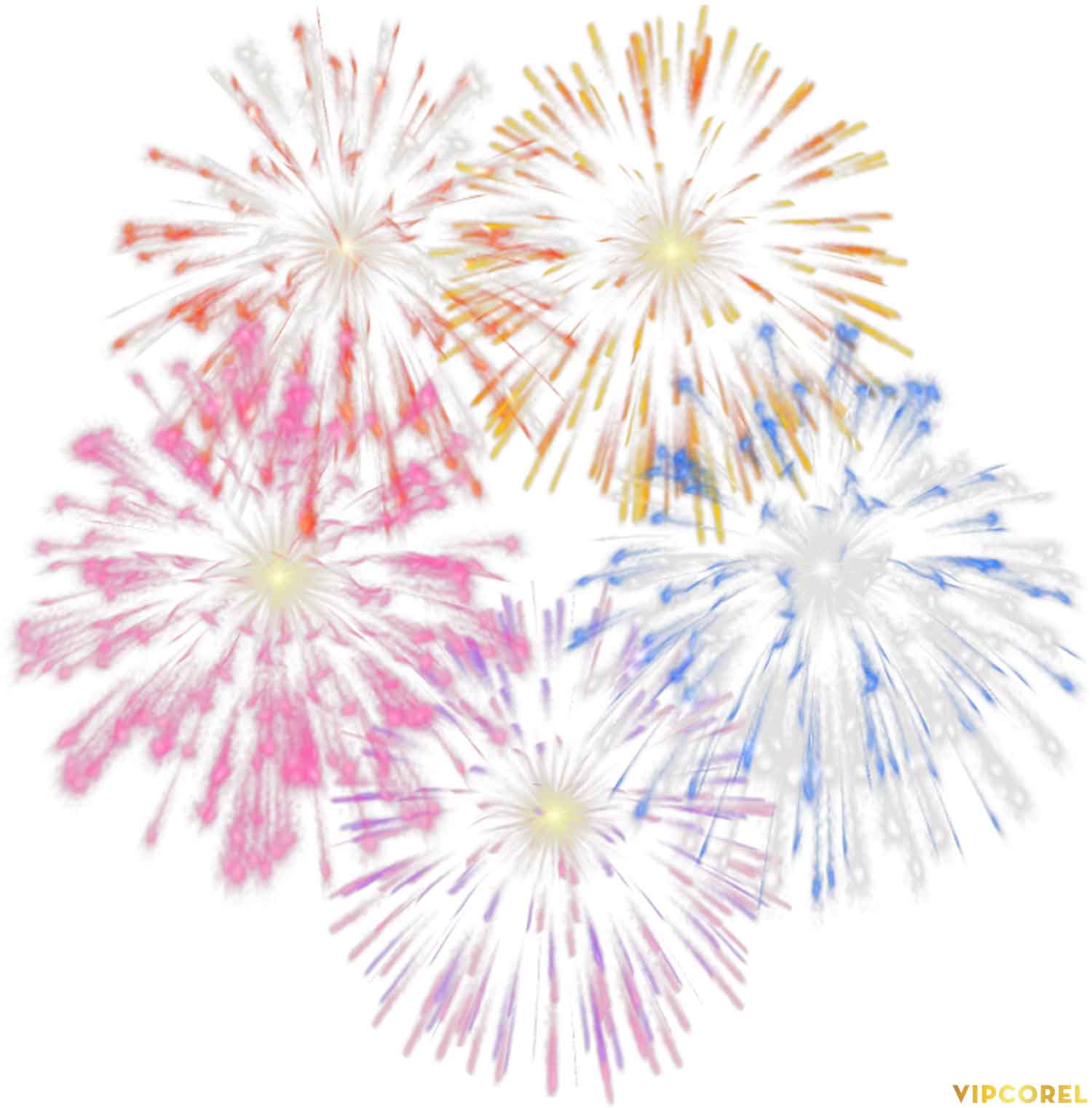 VIPcorel.com anh phao hoa tach nen file PNG (24).jpg