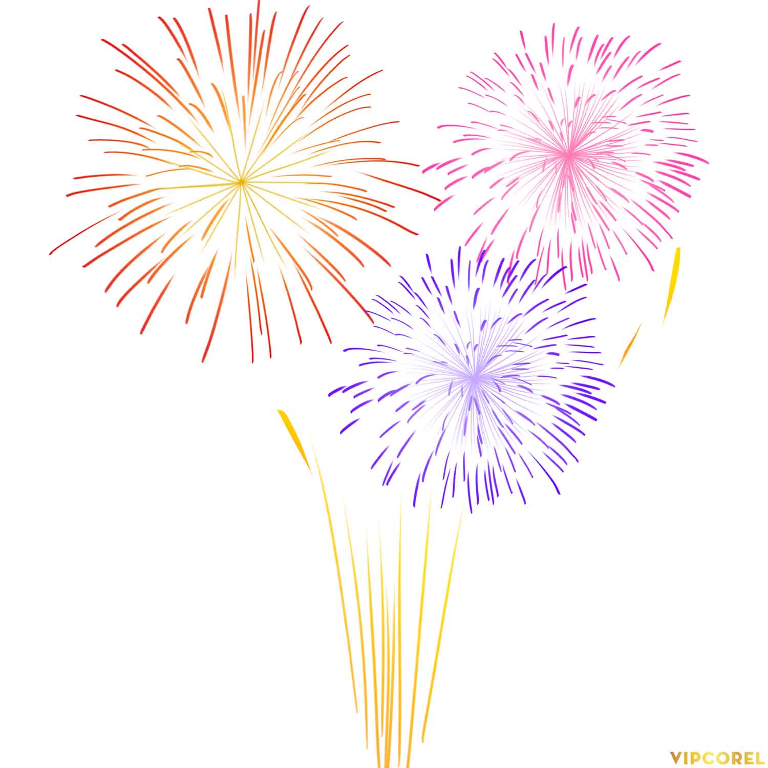 VIPcorel.com anh phao hoa tach nen file PNG (25).jpg