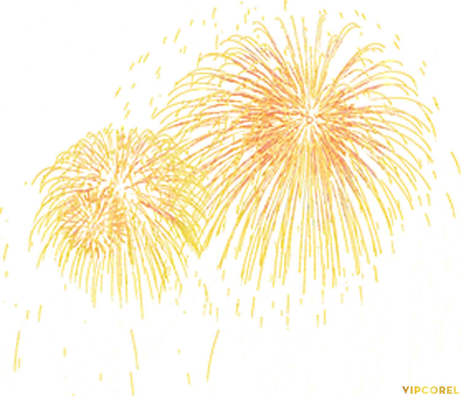 VIPcorel.com anh phao hoa tach nen file PNG (26).jpg