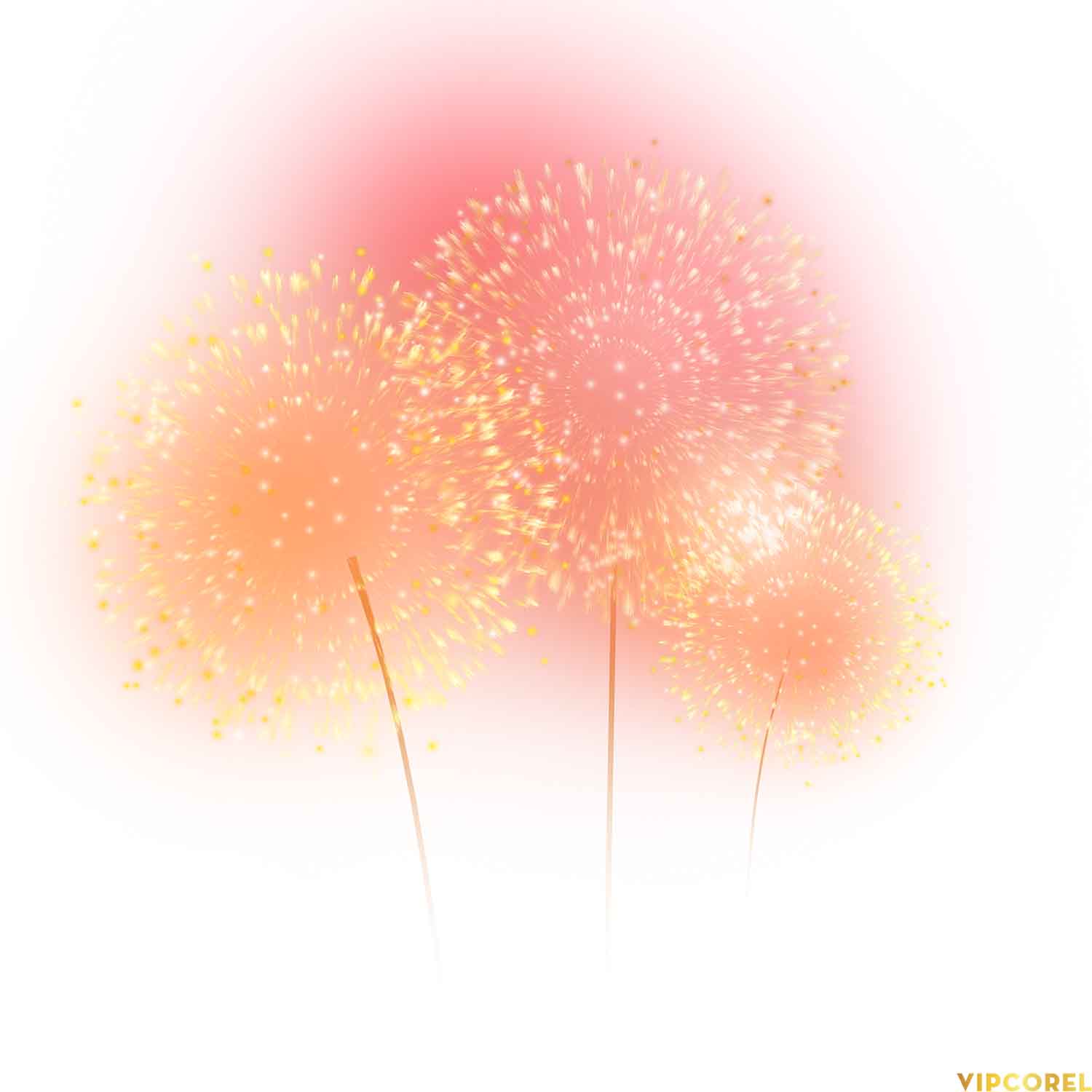 VIPcorel.com anh phao hoa tach nen file PNG (27).jpg