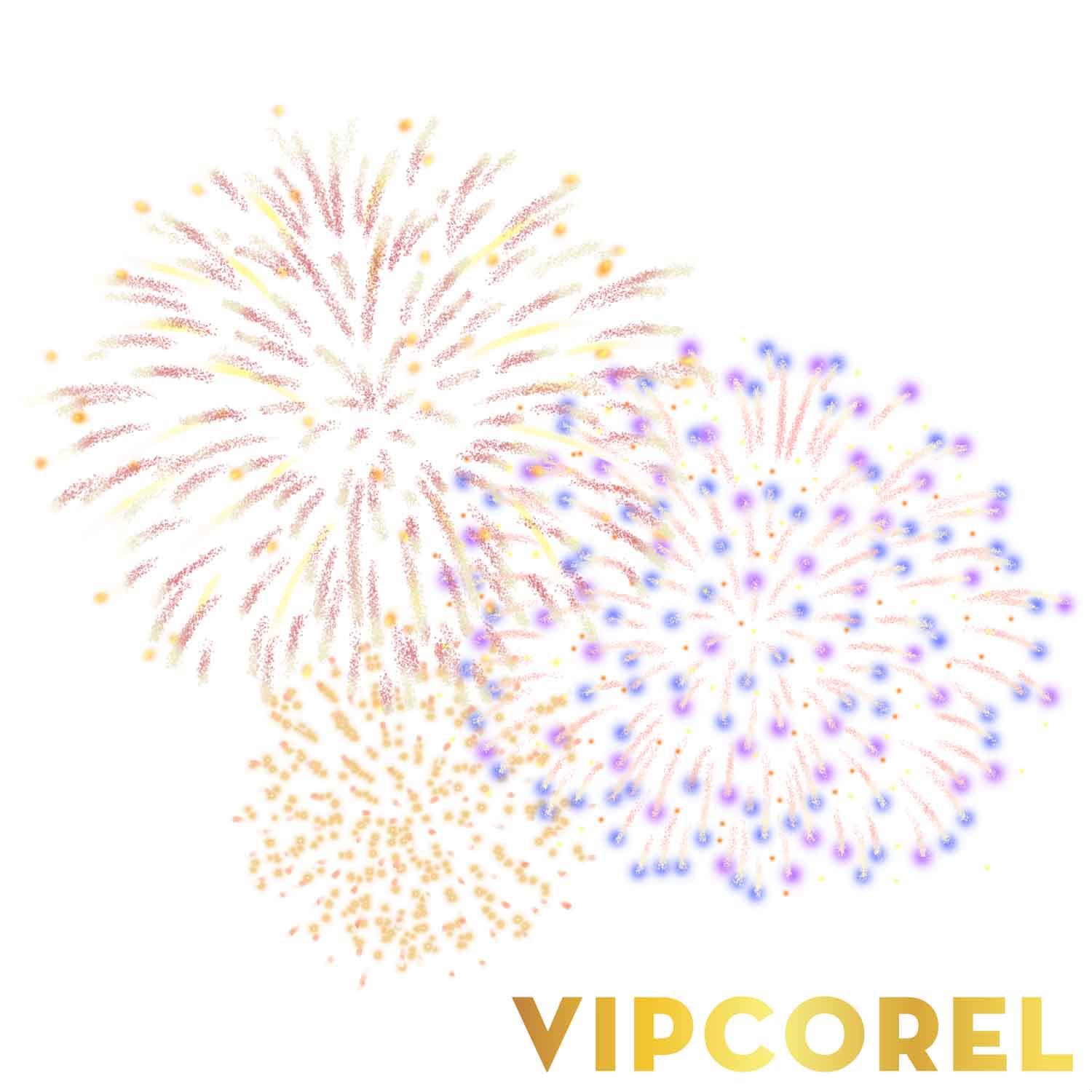 VIPcorel.com anh phao hoa tach nen file PNG (28).jpg